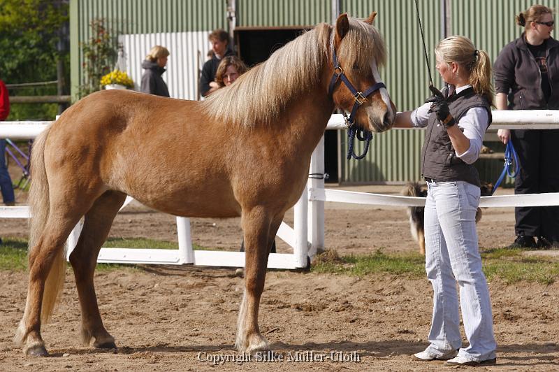 Hryssa von Heidmoor (2).JPG